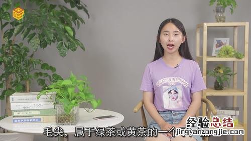 人中黄是什么东西