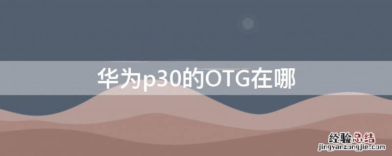 华为p30的OTG在哪