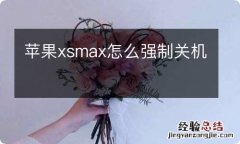 苹果xsmax怎么强制关机