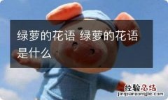 绿萝的花语 绿萝的花语是什么