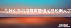 为什么手机没有声音但是已经调大了