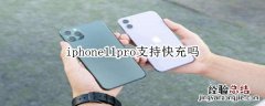 iphone11pro支持快充吗