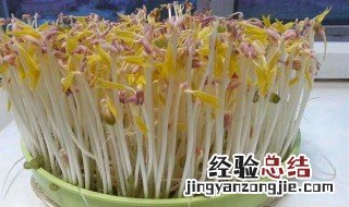 绿豆怎样发芽快 绿豆芽最快窍门