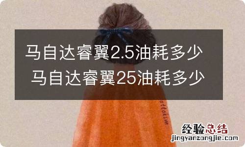 马自达睿翼2.5油耗多少 马自达睿翼25油耗多少