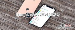 iphone11怎么共享wifi密码