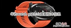 华为watch gt2怎么查看版本信息