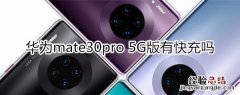 华为mate30pro 5G版有快充吗