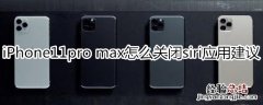 iPhone11pro max怎么关闭siri应用建议