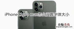 iPhone11pro max怎么设置字体大小