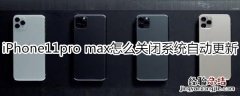 iPhone11pro max怎么关闭系统自动更新