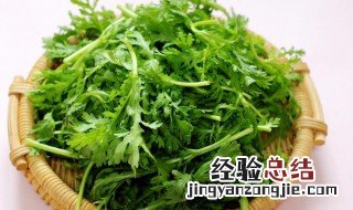 茼蒿如何保存 怎么保存茼蒿