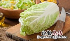 大白菜如何保存 怎么保存大白菜