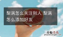 梨涡怎么关注别人 梨涡怎么添加好友