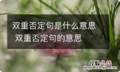 双重否定句是什么意思 双重否定句的意思