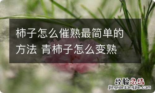 柿子怎么催熟最简单的方法 青柿子怎么变熟