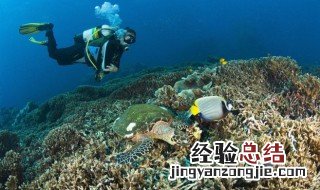 潜水怎么解决耳朵进水问题 潜水怎么解决耳朵进水