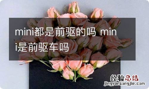 mini都是前驱的吗 mini是前驱车吗