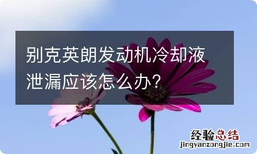 别克英朗发动机冷却液泄漏应该怎么办?