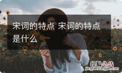 宋词的特点 宋词的特点是什么