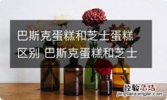 巴斯克蛋糕和芝士蛋糕区别 巴斯克蛋糕和芝士蛋糕区别是什么