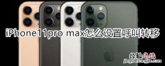 iPhone11pro max怎么设置呼叫转移