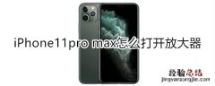 iPhone11pro max怎么打开放大器