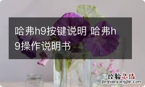 哈弗h9按键说明 哈弗h9操作说明书