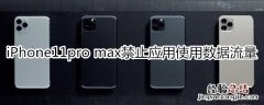 iPhone11pro max怎么禁止应用使用数据流量