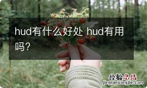 hud有什么好处 hud有用吗?