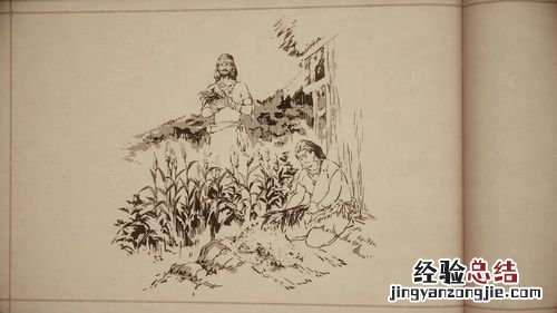 白描手法是什么意思