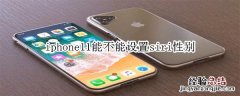 iphone11能不能设置siri性别