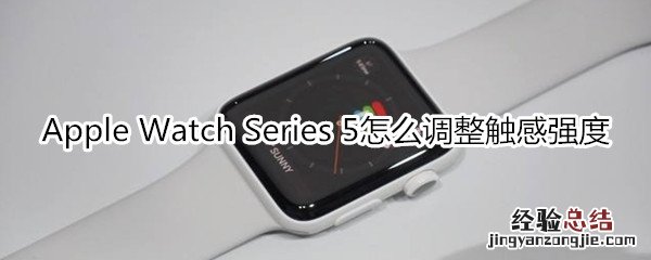 Apple Watch Series 5怎么调整触感强度