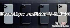 iPhone11pro max怎么设置小白点截图