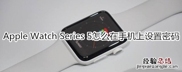 Apple Watch Series 5怎么在手机上设置密码