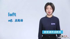 left什么意思中文