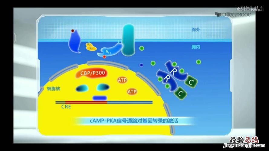 何为相转移催化反应