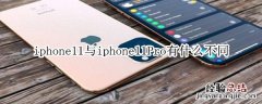 iphone11与iphone11Pro有什么不同