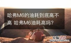 哈弗M6的油耗到底高不高 哈弗M6油耗高吗?