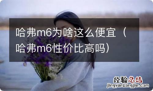 哈弗m6性价比高吗 哈弗m6为啥这么便宜