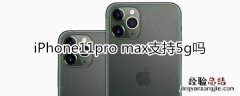 iPhone11pro max支持5g信号吗