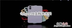 iphone11支持快充吗