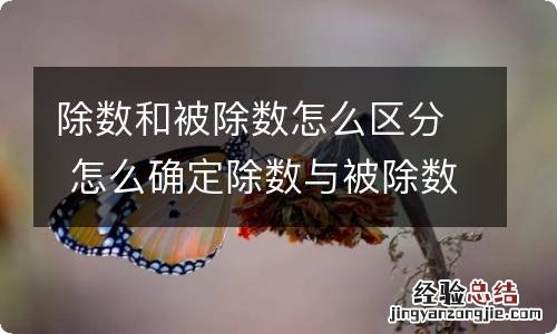 除数和被除数怎么区分 怎么确定除数与被除数