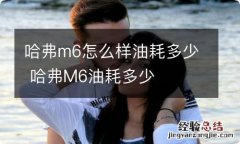 哈弗m6怎么样油耗多少 哈弗M6油耗多少