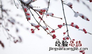 温暖贴心的话 温暖人心的祝福语推荐