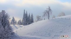 形容大雪的成语