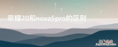 荣耀20和nova5pro的区别