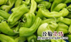 南方辣椒种植时间和方法 南方辣椒种植时间和方法图片