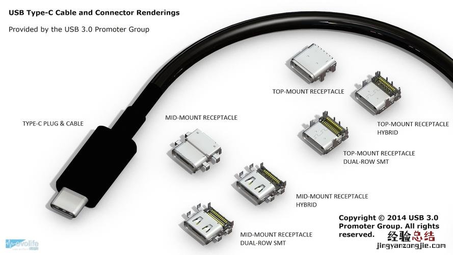 type是什么意思啊