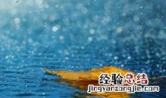 雨天问候早安的句子 关于雨天的早安问候语