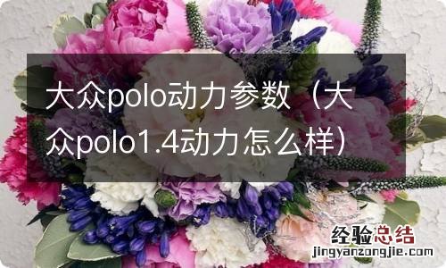 大众polo1.4动力怎么样 大众polo动力参数